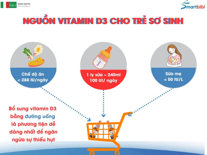 vitamin d3 có ở đâu