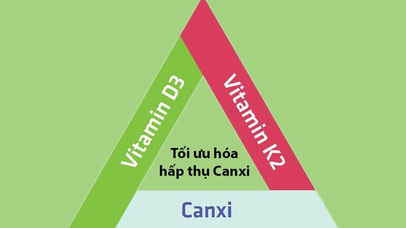 D3 kết hợp K2 sẽ giúp tối ưu hiệu quả hấp thu canxi