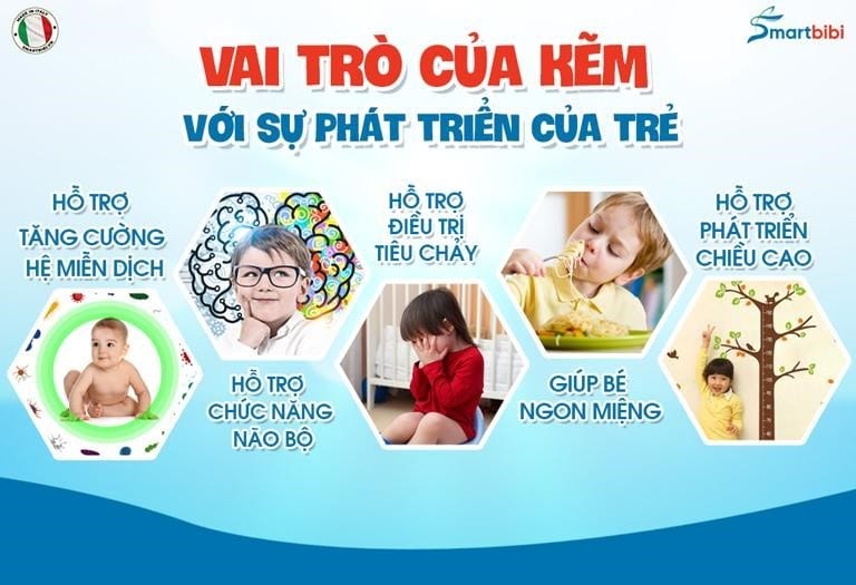 Tác dụng của kẽm với sự phát triển của trẻ