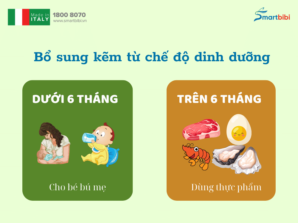 bổ sung kẽm từ chế độ dinh dưỡng