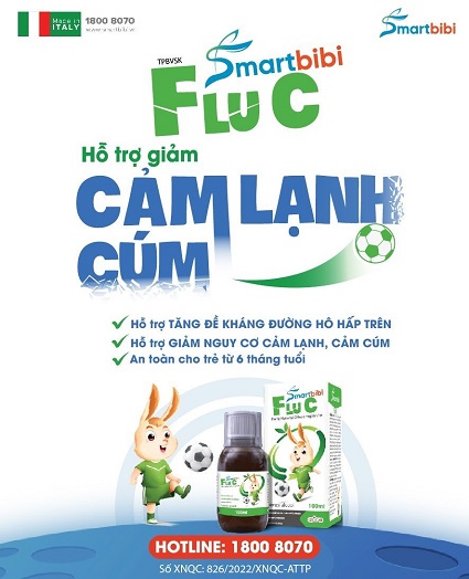 fluc section2
