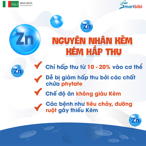 nguyên nhân kẽm kém hấp thu