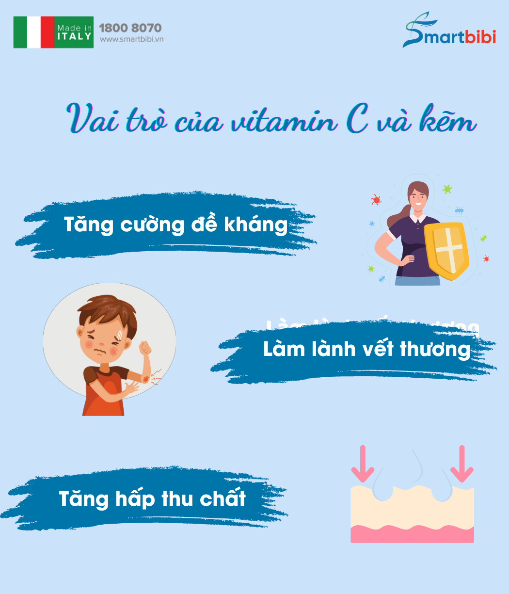 Vai trò của vitamin C và kẽm