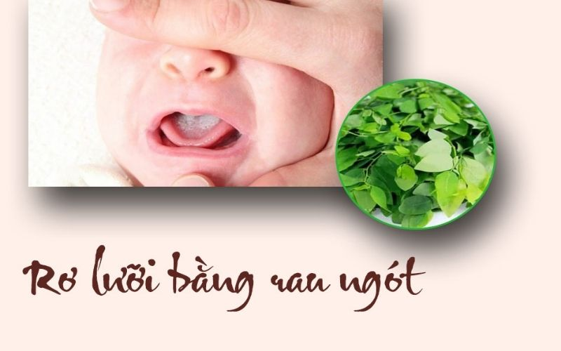 Rau ngót có thể dùng cho bé nấm miệng