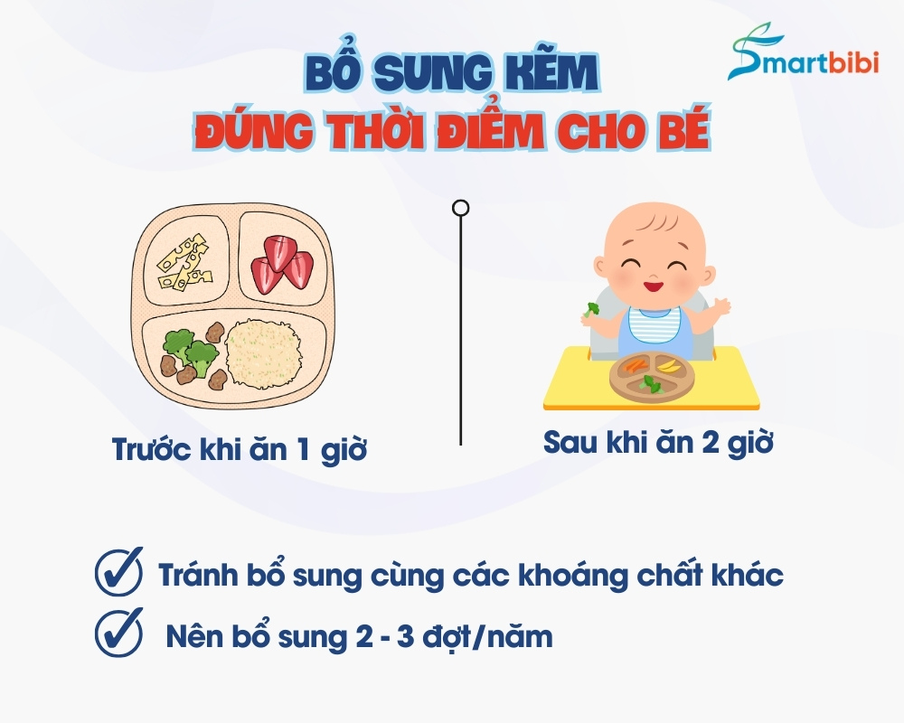 Thời điểm bổ sung kẽm hữu cơ